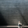 stage