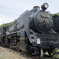 D5196