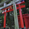 大宮　氷川神社