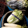 vegetables