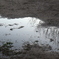 雨上がり