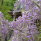 群馬県川場　吉祥寺
