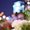 Bokeh