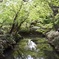 六義園