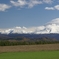 HATUYUKI