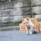 鼻水垂れない子