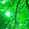 夏が近づいてきました