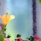 Tropical scene