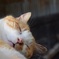 至福なり。