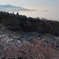 筑波山梅林と霧海