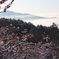 筑波山梅林と霧海