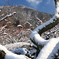 筑波山山頂を望む