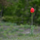 「 Stand Alone 」