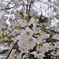 R0014565