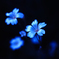 碧き静寂の輝花