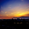 DSC03703