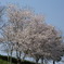 DSC00085