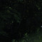 ホタル2015＿平和台公園#2