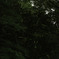ホタル2015＿平和台公園#１