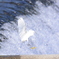 水遊び