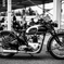 Speed Twin
