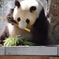 動物園にて6