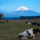 まあ天気も良いしゆっくり富士山でも見ていきなよ