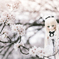 桜の木の精