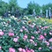 鶴舞公園にて２