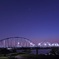 輝く水道橋