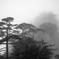黄山