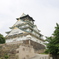 フツーな大阪城