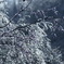 氷花