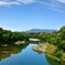 新城桜淵公園