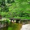 愛知県民の森にて