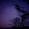 star × purple