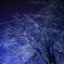 rainy × blue