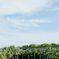 TDL