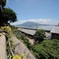 仙巌園から見た桜島