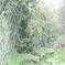 rainy