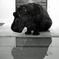 _IGP8450_edited