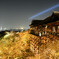 夜の清水寺