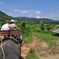 Elephant trekking　in phuket
