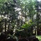 眼日山立山寺
