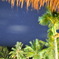 night view palau