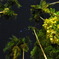 night view palau 2