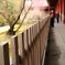 東大寺の通路｡