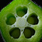 Symmetry In Nature
