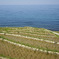 輪島　千枚田3