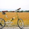 自転車と麦畑